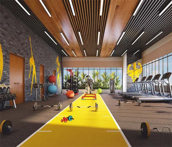 Fitness Area of Majestique Evolvus